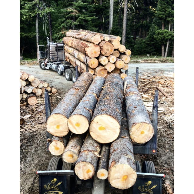 Vashon Island Firewood Source 3