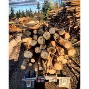 Vashon Island Firewood Yard 1