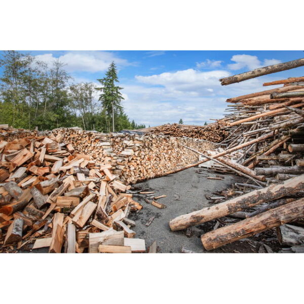 Our Process Vashon Island Firewood
