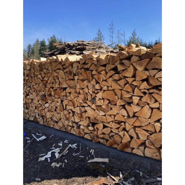 Maple Firewood